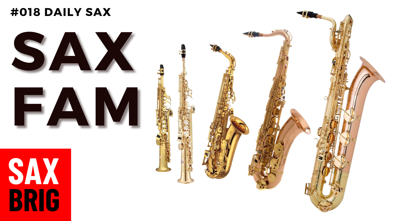 Saxophon Familie
